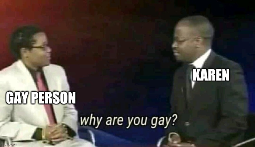 Why are you gay? | KAREN GAY PERSON | image tagged in why are you gay | made w/ Imgflip meme maker
