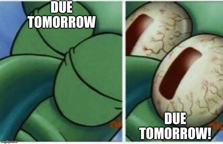 Squidward | DUE TOMORROW; DUE TOMORROW! | image tagged in squidward | made w/ Imgflip meme maker