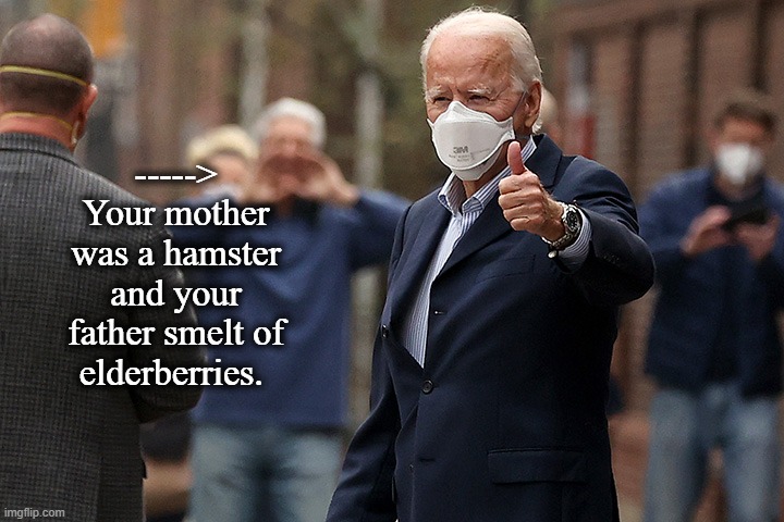 ----->
Your mother was a hamster and your father smelt of elderberries. | image tagged in biden,creepy joe biden | made w/ Imgflip meme maker