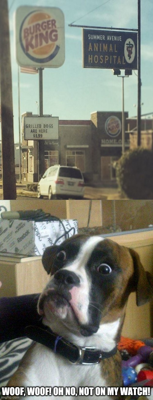 Grilled dogs; Animal hospital | WOOF, WOOF! OH NO, NOT ON MY WATCH! | image tagged in blankie the shocked dog,memes,dark humor,dogs,burger king,hospital | made w/ Imgflip meme maker