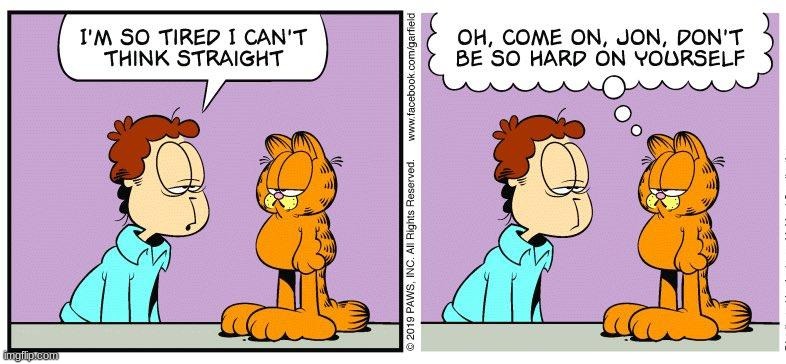 garfield but without the third panel | made w/ Imgflip meme maker