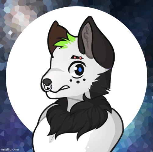 This is my fursona. I need help with some name ideas | image tagged in fursona,furry,name | made w/ Imgflip meme maker