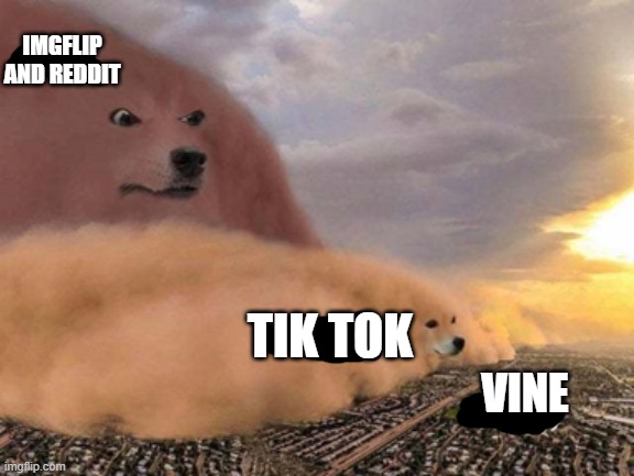 dust storm dog | IMGFLIP AND REDDIT; TIK TOK; VINE | image tagged in dust storm dog | made w/ Imgflip meme maker