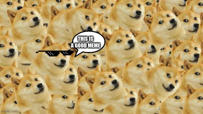 Multi Doge Meme | THIS IS A GOOD MEME | image tagged in memes,multi doge | made w/ Imgflip meme maker