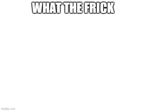 what the frick | WHAT THE FRICK | image tagged in blank white template | made w/ Imgflip meme maker