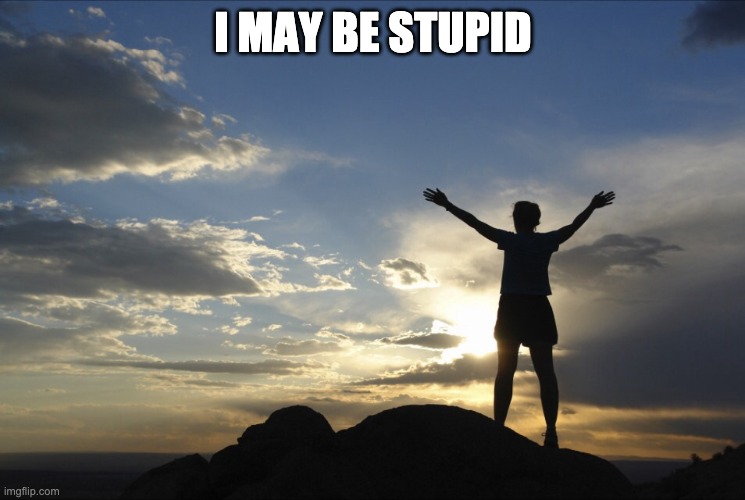 but... uhhhhh..... | I MAY BE STUPID | image tagged in satire,fun | made w/ Imgflip meme maker