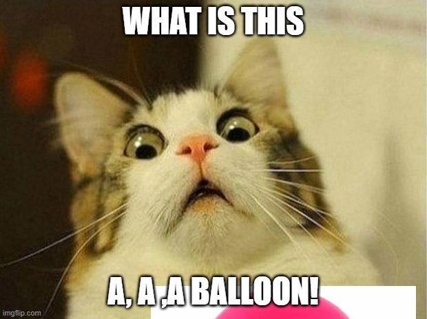 Scared Cat | WHAT IS THIS; A, A ,A BALLOON! | image tagged in memes,scared cat | made w/ Imgflip meme maker