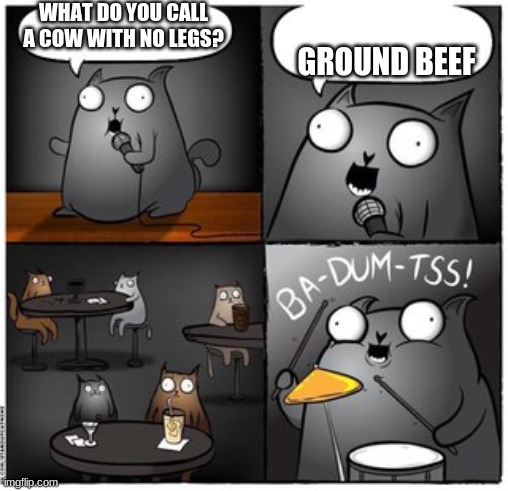 cat | WHAT DO YOU CALL A COW WITH NO LEGS? GROUND BEEF | image tagged in ba-dum-tss cat | made w/ Imgflip meme maker