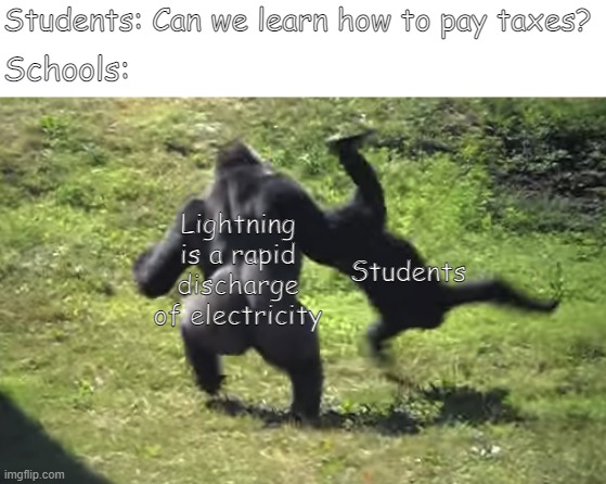 Praise The School System! | Students: Can we learn how to pay taxes? Schools:; Lightning is a rapid discharge of electricity; Students | image tagged in crazy gorilla | made w/ Imgflip meme maker