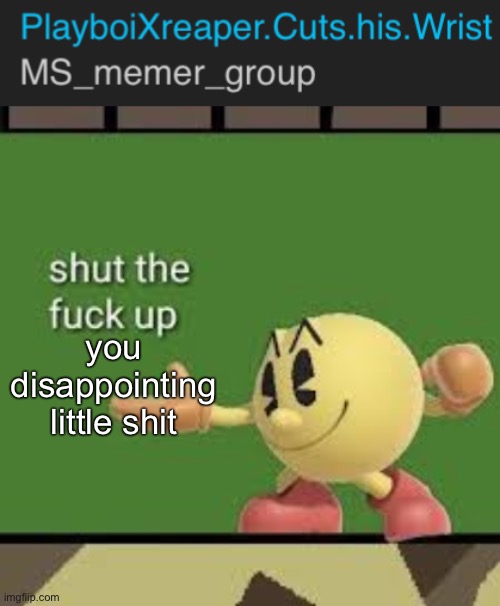 you disappointing little shit | image tagged in pac man stfu | made w/ Imgflip meme maker