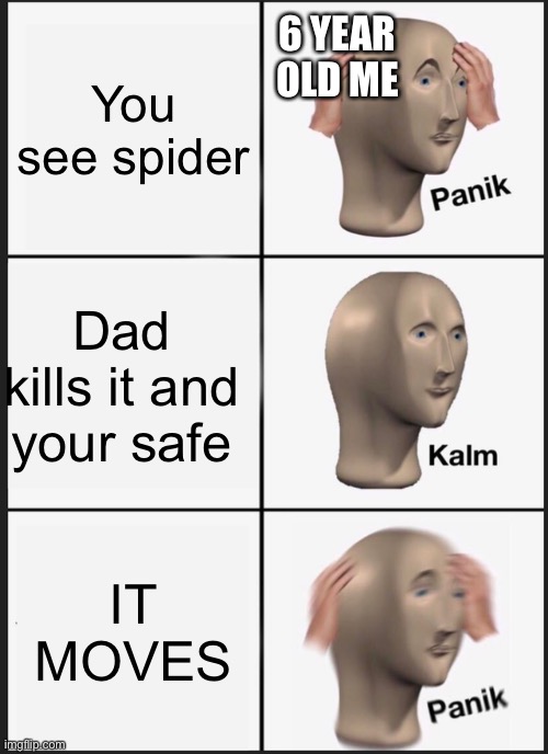 haha post (probably repost) go brrrr | 6 YEAR OLD ME; You see spider; Dad kills it and your safe; IT MOVES | image tagged in memes | made w/ Imgflip meme maker