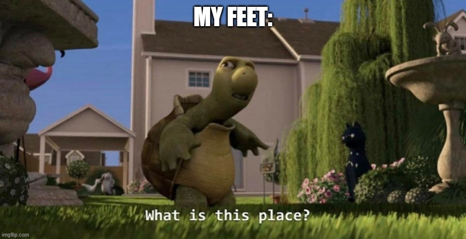 What is this place | MY FEET: | image tagged in what is this place | made w/ Imgflip meme maker