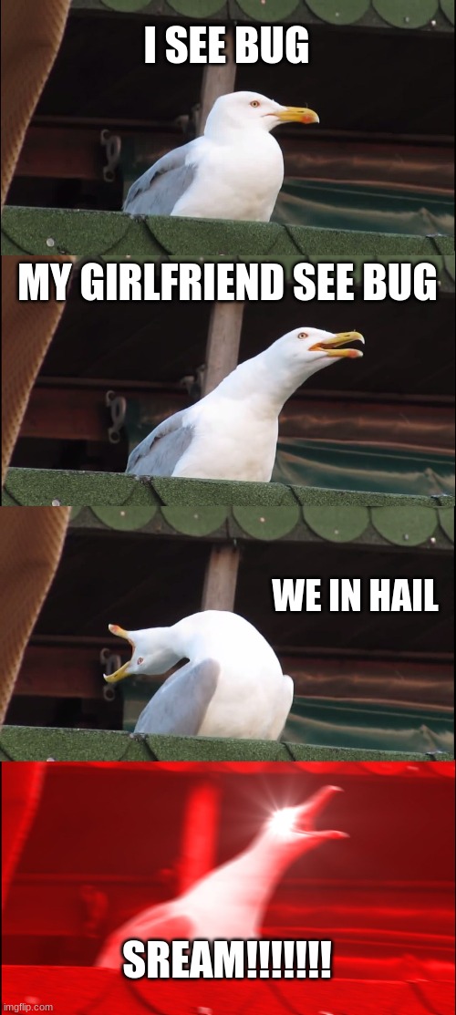 Inhaling Seagull | I SEE BUG; MY GIRLFRIEND SEE BUG; WE IN HAIL; SREAM!!!!!!! | image tagged in memes,inhaling seagull | made w/ Imgflip meme maker