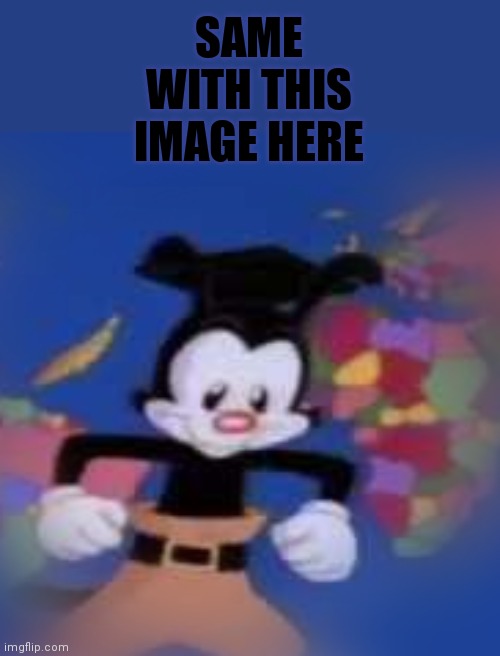 YAKKO | SAME WITH THIS IMAGE HERE | image tagged in yakko | made w/ Imgflip meme maker
