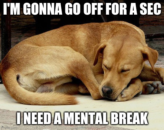 see ya | I'M GONNA GO OFF FOR A SEC; I NEED A MENTAL BREAK | made w/ Imgflip meme maker