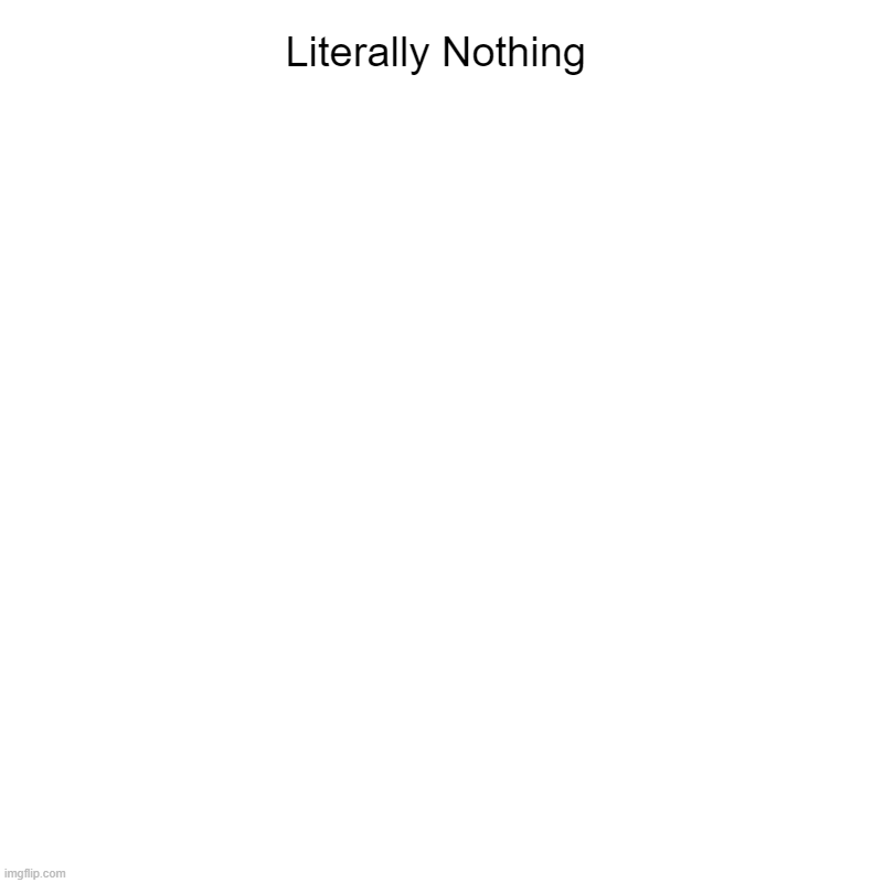 B r U H | Literally Nothing | | image tagged in charts,pie charts,bruh moment,nothing,literally | made w/ Imgflip chart maker