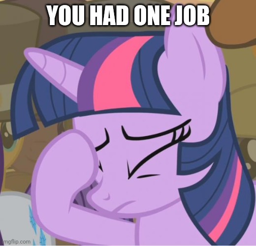 Mlp Twilight Sparkle facehoof | YOU HAD ONE JOB | image tagged in mlp twilight sparkle facehoof | made w/ Imgflip meme maker