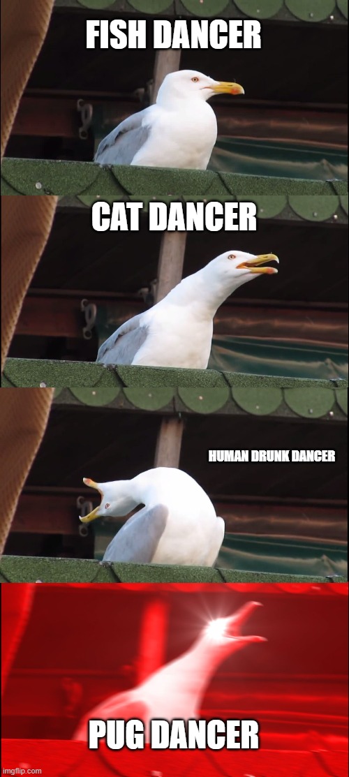 Inhaling Seagull Meme | FISH DANCER CAT DANCER HUMAN DRUNK DANCER PUG DANCER | image tagged in memes,inhaling seagull | made w/ Imgflip meme maker