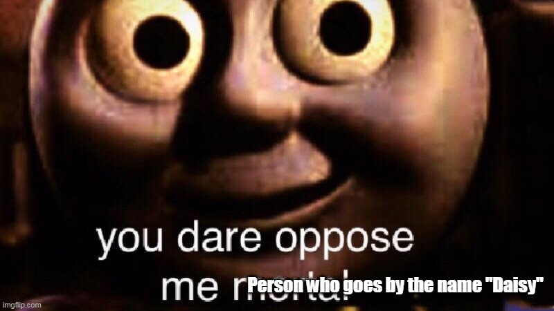 You dare oppose me mortal | Person who goes by the name "Daisy" | image tagged in you dare oppose me mortal | made w/ Imgflip meme maker