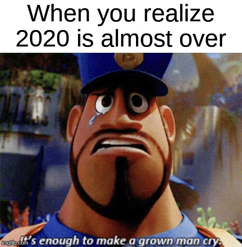 It's enough to make a grown man cry | When you realize 2020 is almost over | image tagged in it's enough to make a grown man cry | made w/ Imgflip meme maker
