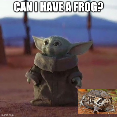 Baby Yoda | CAN I HAVE A FROG? | image tagged in baby yoda | made w/ Imgflip meme maker