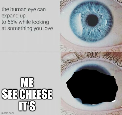 ME SEE CHEESE IT'S | image tagged in eye pupil expand | made w/ Imgflip meme maker