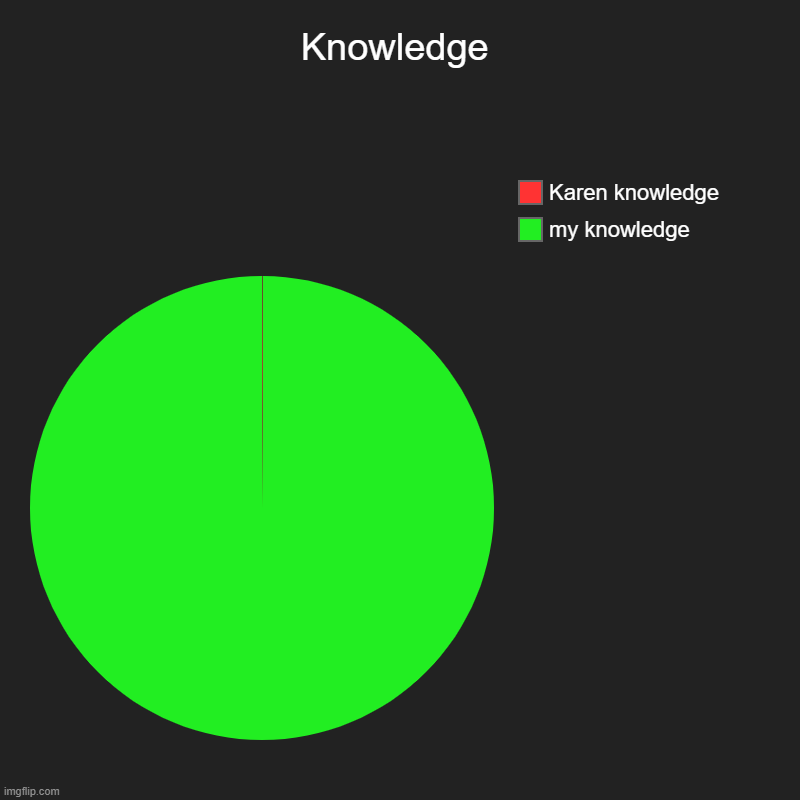 Knowledge | Knowledge | my knowledge, Karen knowledge | image tagged in charts,pie charts,karen | made w/ Imgflip chart maker