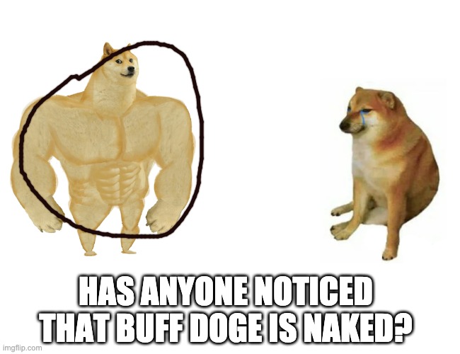 You will never see him the same agian. | HAS ANYONE NOTICED THAT BUFF DOGE IS NAKED? | image tagged in memes,buff doge vs cheems | made w/ Imgflip meme maker