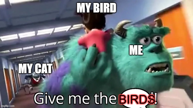 plz tell me this is true- | MY BIRD; ME; MY CAT; BIRDS | image tagged in give me the child | made w/ Imgflip meme maker