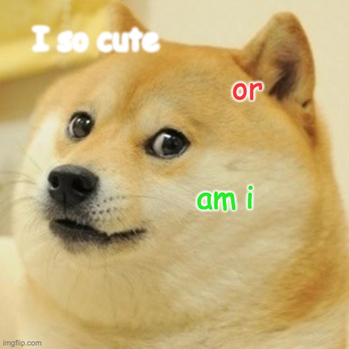 Doge | I so cute; or; am i | image tagged in memes,doge | made w/ Imgflip meme maker
