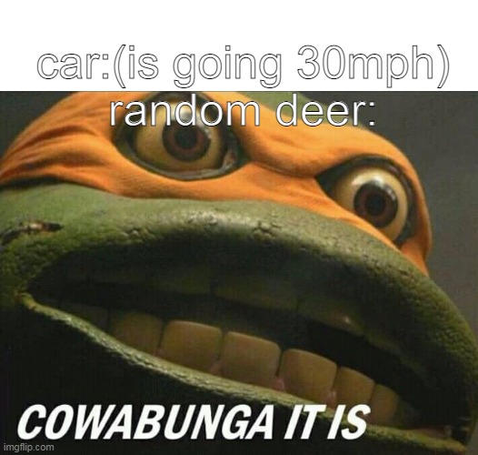 Cowabunga it is | car:(is going 30mph)
random deer: | image tagged in cowabunga it is,funny memes | made w/ Imgflip meme maker