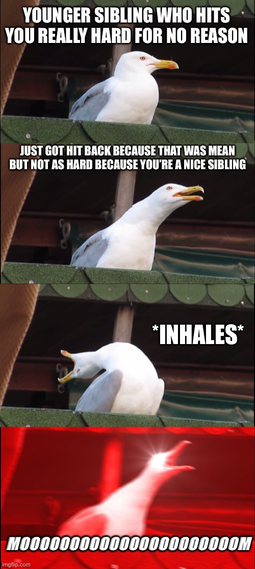 Inhaling Seagull | YOUNGER SIBLING WHO HITS YOU REALLY HARD FOR NO REASON; JUST GOT HIT BACK BECAUSE THAT WAS MEAN BUT NOT AS HARD BECAUSE YOU’RE A NICE SIBLING; *INHALES*; MOOOOOOOOOOOOOOOOOOOOOOM | image tagged in memes,inhaling seagull,siblings | made w/ Imgflip meme maker