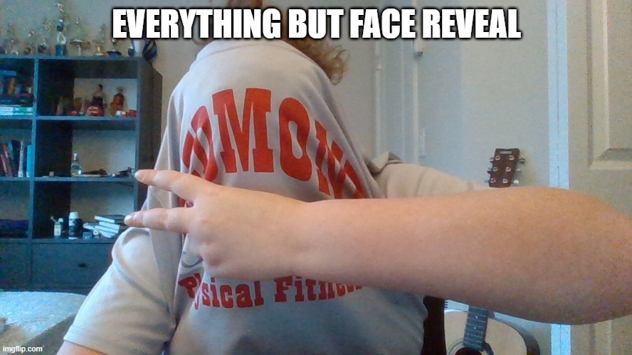 lol not face reveal | EVERYTHING BUT FACE REVEAL | image tagged in why not | made w/ Imgflip meme maker