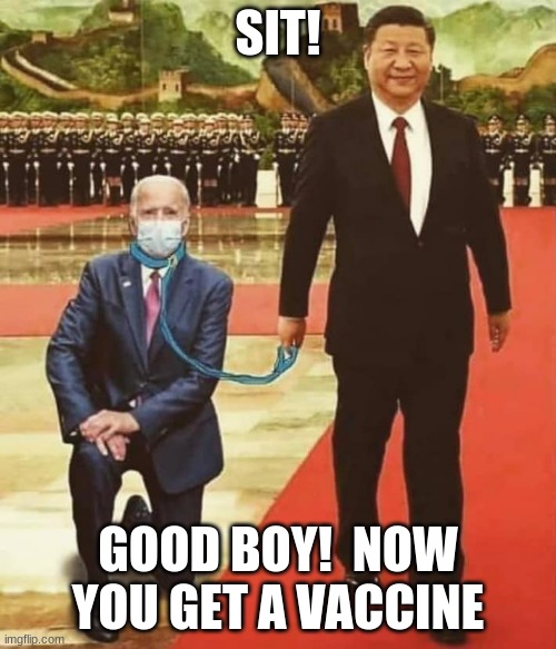 The declared winner of the US election and his pet joe |  SIT! GOOD BOY!  NOW YOU GET A VACCINE | image tagged in china biden,china joe biden,good boy,covid vaccine,voter fraud,trump won | made w/ Imgflip meme maker