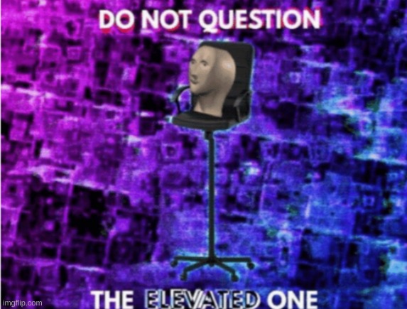 Do not question the elevated one | image tagged in do not question the elevated one | made w/ Imgflip meme maker