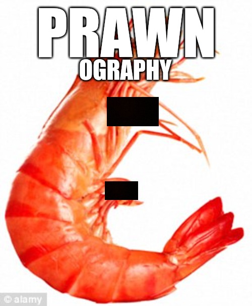 PRAWN-OGRAPHY | PRAWN; OGRAPHY | image tagged in inspiration prawn | made w/ Imgflip meme maker