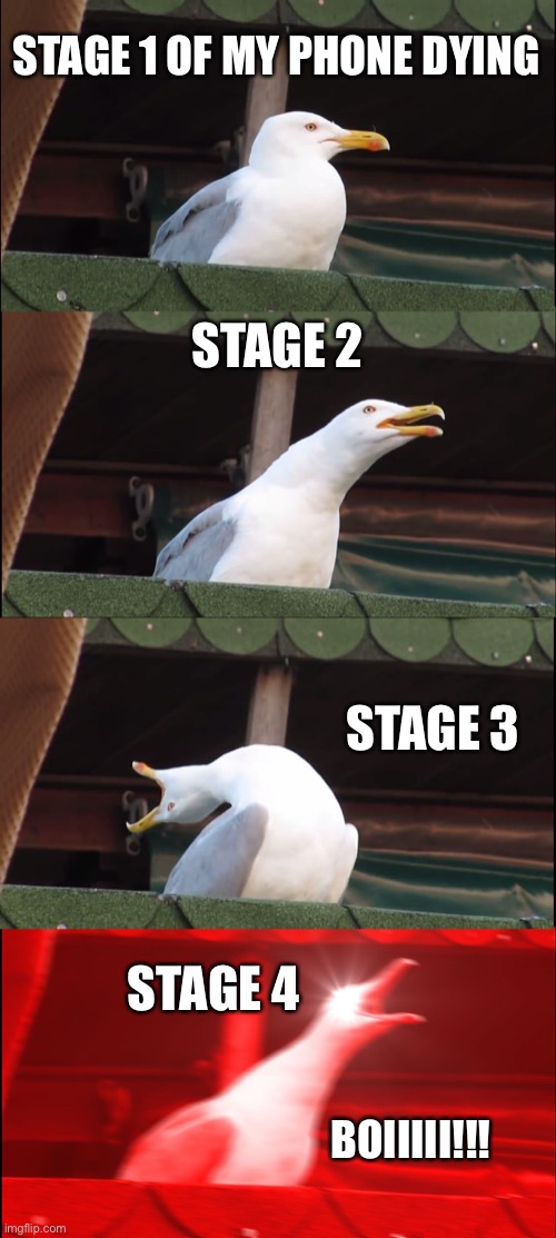 REEeEeEeeEeeEeeEeEe | STAGE 1 OF MY PHONE DYING; STAGE 2; STAGE 3; STAGE 4; BOIIIII!!! | image tagged in memes,inhaling seagull | made w/ Imgflip meme maker