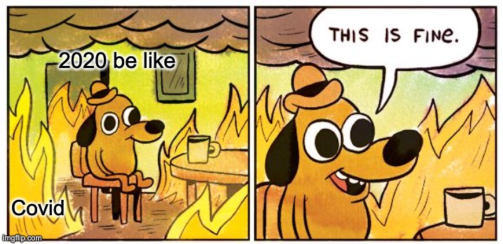 This Is Fine Meme | 2020 be like; Covid | image tagged in memes,this is fine | made w/ Imgflip meme maker