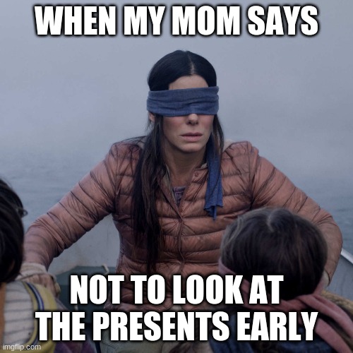 Bird Box Meme | WHEN MY MOM SAYS; NOT TO LOOK AT THE PRESENTS EARLY | image tagged in memes,bird box | made w/ Imgflip meme maker
