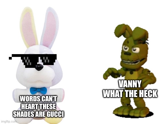 Gucci vanny | VANNY WHAT THE HECK; WORDS CAN’T HEART THESE SHADES ARE GUCCI | image tagged in blank white template | made w/ Imgflip meme maker