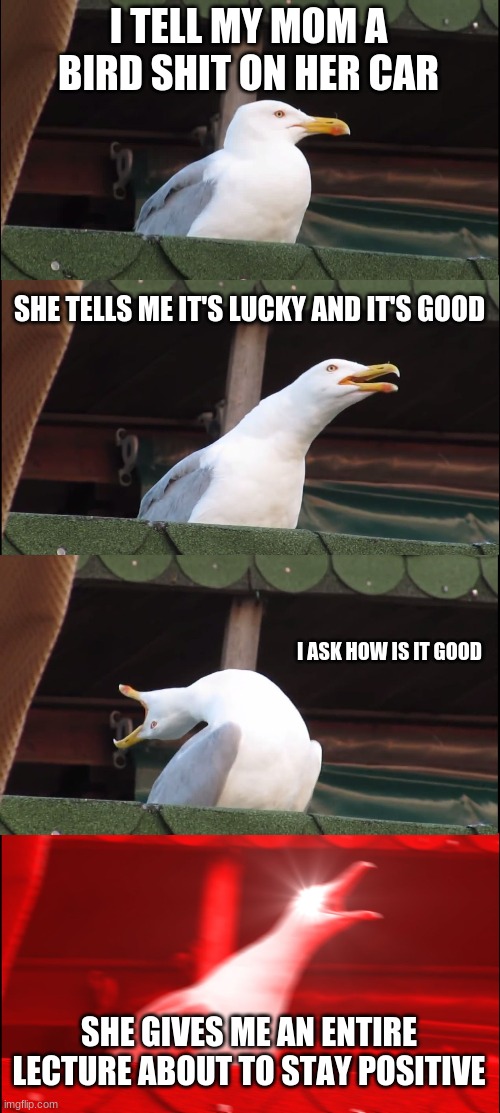 happened to me couple weeks ago prior to this being posted |  I TELL MY MOM A BIRD SHIT ON HER CAR; SHE TELLS ME IT'S LUCKY AND IT'S GOOD; I ASK HOW IS IT GOOD; SHE GIVES ME AN ENTIRE LECTURE ABOUT TO STAY POSITIVE | image tagged in memes,inhaling seagull | made w/ Imgflip meme maker