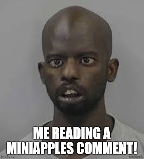 ME READING A MINIAPPLES COMMENT! | made w/ Imgflip meme maker
