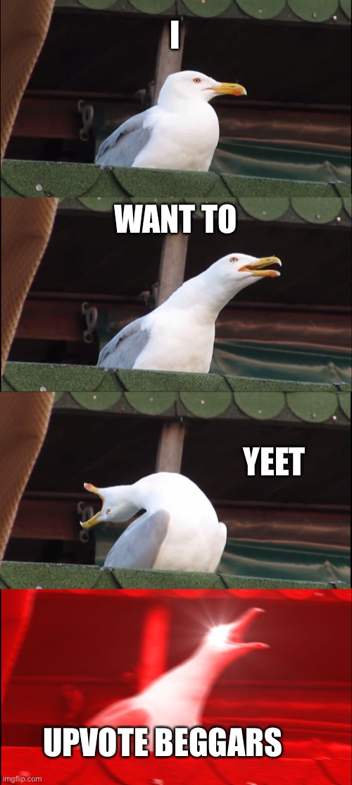 Inhaling Seagull | I; WANT TO; YEET; UPVOTE BEGGARS | image tagged in memes,inhaling seagull | made w/ Imgflip meme maker