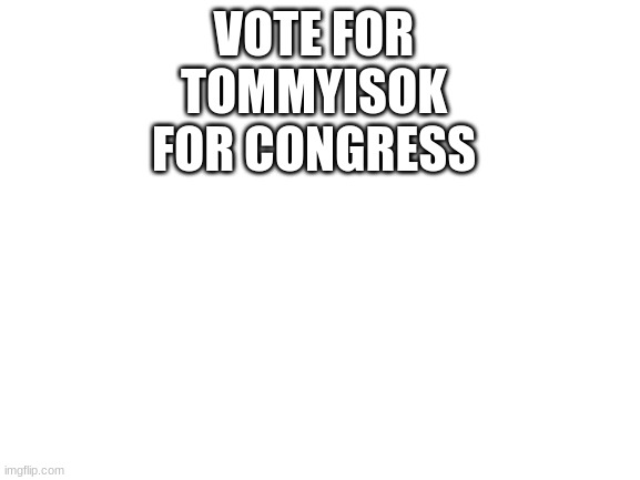 Blank White Template | VOTE FOR TOMMYISOK FOR CONGRESS | image tagged in blank white template | made w/ Imgflip meme maker