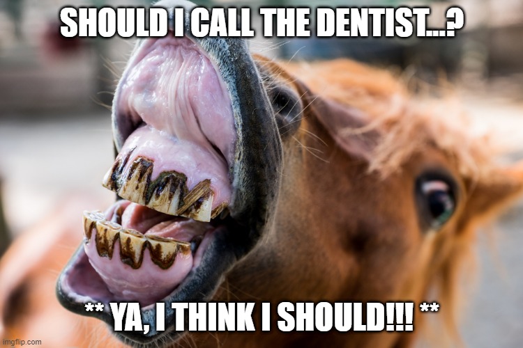 dentist | SHOULD I CALL THE DENTIST...? ** YA, I THINK I SHOULD!!! ** | image tagged in dentist | made w/ Imgflip meme maker