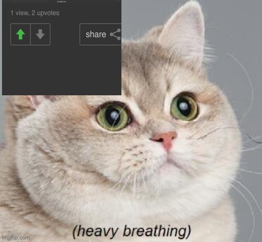 Heavy Breathing Cat Meme - Imgflip