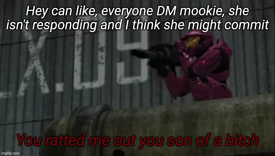 You ratted me out you son of a bitch | Hey can like, everyone DM mookie, she isn't responding and I think she might commit | image tagged in you ratted me out you son of a bitch | made w/ Imgflip meme maker
