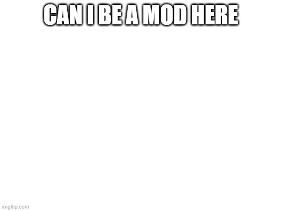 Blank White Template | CAN I BE A MOD HERE | image tagged in blank white template | made w/ Imgflip meme maker