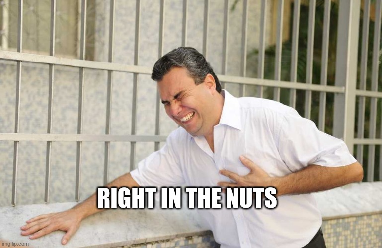 ouch | RIGHT IN THE NUTS | image tagged in ouch | made w/ Imgflip meme maker