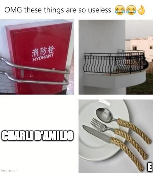 tiktok is no | E; CHARLI D'AMILIO | image tagged in useless things | made w/ Imgflip meme maker